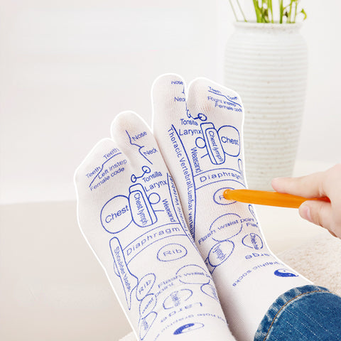 Fußmassage Akupunkturpunkt Socken Fußtherapie Gesundheitspflege Hundert Akupunkturpunkte Socken Fußmassage Meridianpunkt Punktdarstellung Socken m3331174 