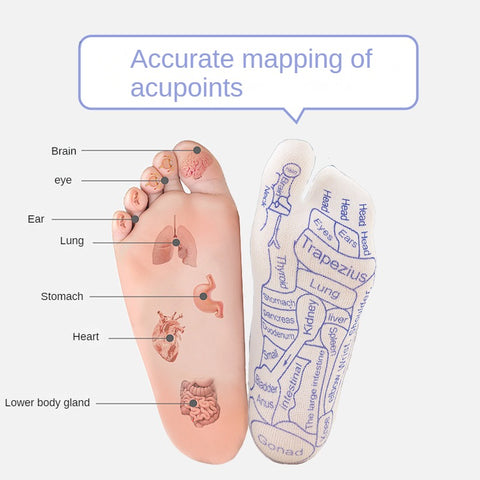 Fußmassage Akupunkturpunkt Socken Fußtherapie Gesundheitspflege Hundert Akupunkturpunkte Socken Fußmassage Meridianpunkt Punktdarstellung Socken m3331174 