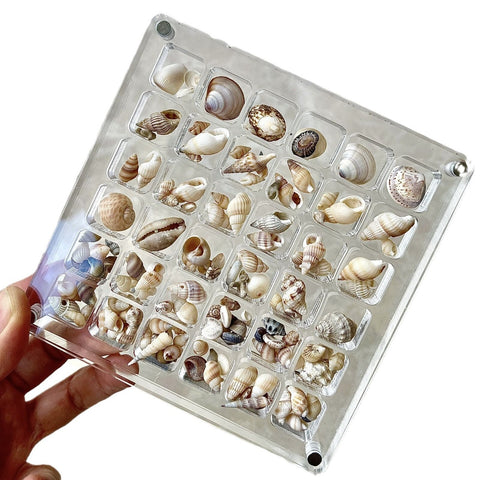 Acryl-Aufbewahrungsbox mit magnetischer Schale m3331018 